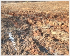  2025Ÿ��503439  �����