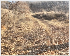  2025Ÿ��503439  �����