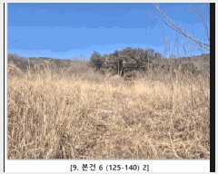  2025Ÿ��505848 ��õ ��ȭ�� ���� ���˸� 125-78      ����(��1)���