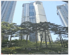  2025Ÿ��508588  ����Ʈ���