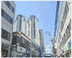  2025Ÿ��508588  ����Ʈ���