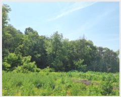  2025Ÿ��509370  �Ӿ߰��