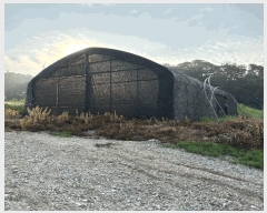  2025Ÿ��509370  �Ӿ߰��