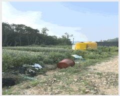  2025Ÿ��509370  �Ӿ߰��