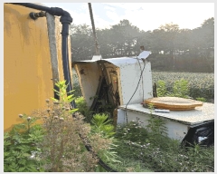  2025Ÿ��509370  �Ӿ߰��