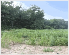  2025Ÿ��509370  �Ӿ߰��