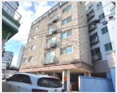  2025Ÿ��502443  �ټ���(����)���