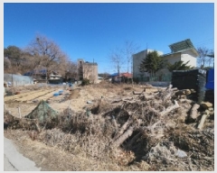  2025Ÿ��503484 ��õ �߱� ������ 182-2       ����(��1)���