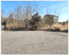  2025Ÿ��504876  �������