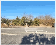  2025Ÿ��504876  �������