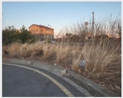  2025Ÿ��504876  �������