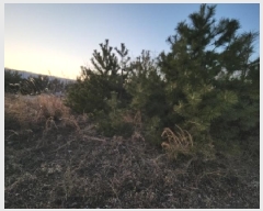  2025Ÿ��504876  �������