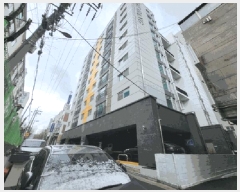  2025Ÿ��508217  ���ǽ��ڰ��