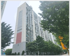  2025Ÿ��509562  ����Ʈ���