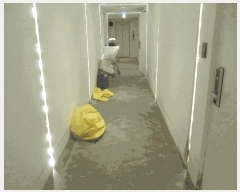  2025Ÿ��1082  ���ڽü����