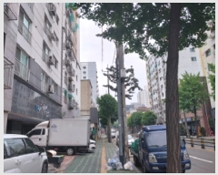  2025Ÿ��1224  ���ǽ��ڰ��