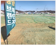  2025Ÿ��506087 ��õ ���� �ձ浿 160-5       ����(����)���