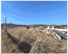  2025Ÿ507186 õ ȭ  ︮ 58-1      (1)