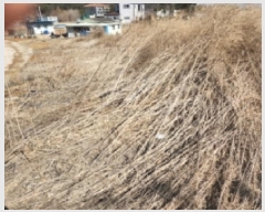  2025Ÿ507186 õ ȭ  ︮ 58-1      (1)