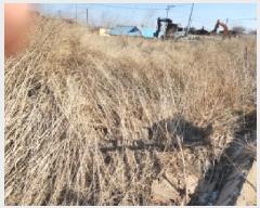  2025Ÿ507186 õ ȭ  ︮ 58-1      (1)