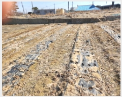  2025Ÿ507186 õ ȭ  ︮ 58-1      (1)