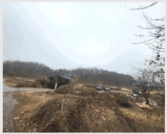  2025Ÿ��507302 ��õ ���� ��õ�� 86-150       ����(�Ӿ�)���