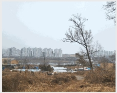  2025Ÿ��507302 ��õ ���� ��õ�� 86-150       ����(�Ӿ�)���