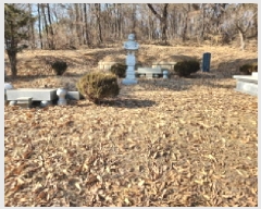  2025Ÿ��507302 ��õ ���� ��õ�� 86-150       ����(�Ӿ�)���