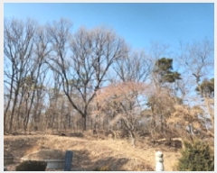  2025Ÿ��507302 ��õ ���� ��õ�� 86-150       ����(�Ӿ�)���