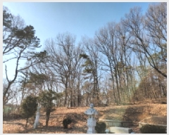  2025Ÿ��507302 ��õ ���� ��õ�� 86-150       ����(�Ӿ�)���