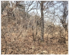  2025Ÿ507906 õ ȭ   308      (Ӿ)