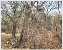  2025Ÿ507906 õ ȭ   308      (Ӿ)