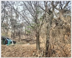  2025Ÿ507906 õ ȭ   308      (Ӿ)