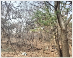  2025Ÿ507906 õ ȭ   308      (Ӿ)