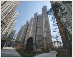  2025Ÿ��508378  ����Ʈ���