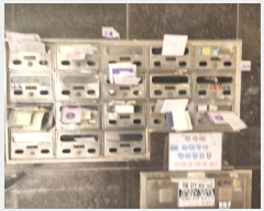  2025Ÿ��510824 ��õ ���� �˾ϵ� 674-6 �ڿ����� ���� 2��204ȣ    �ټ���,������