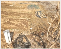  2025Ÿ��507428 ��õ ���� ������ 1728-2       ����(����)���