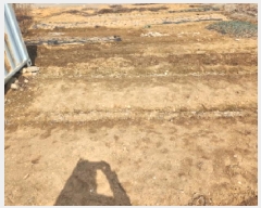  2025Ÿ��507428 ��õ ���� ������ 1728-2       ����(����)���