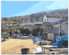  2025Ÿ��506957  ���ð��