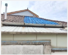  2025Ÿ��1067  ���ð��