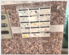  2025Ÿ��1151  �ټ���(����)���