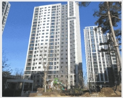  2025Ÿ507200 õ  е 442 ȭõ 104 5501ȣ    Ʈ