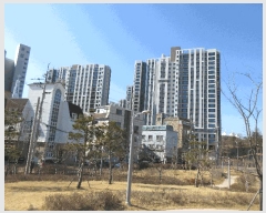  2025Ÿ507200 õ  е 442 ȭõ 104 5501ȣ    Ʈ