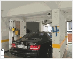  2025Ÿ507311 õ Ȧ ־ȵ 25-31  5501ȣ     ټ,