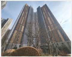  2025Ÿ508093 õ  ް104 22, 709 131304ȣ (ᵿ,۵ũ)    Ʈ