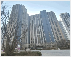  2025Ÿ508160 õ Ȧ ־ȵ 1662 ־ũ̴÷Ƽ 307 151504ȣ    Ʈ