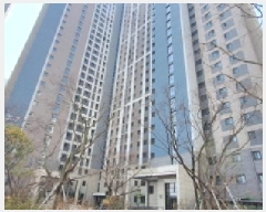  2025Ÿ508160 õ Ȧ ־ȵ 1662 ־ũ̴÷Ƽ 307 151504ȣ    Ʈ