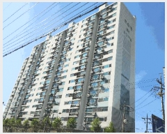  2025Ÿ��508846  ����Ʈ���