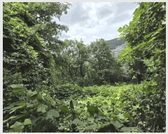  2025Ÿ��510510  �Ӿ߰��