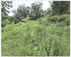  2025Ÿ��510510  �Ӿ߰��